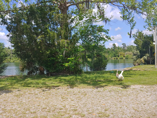 Shamrock Veterinary Clinics image