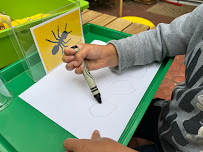 Dream Big Little One Piedra Family Daycare - Photo 9 - Car repair in Burbank, CA, Burbank