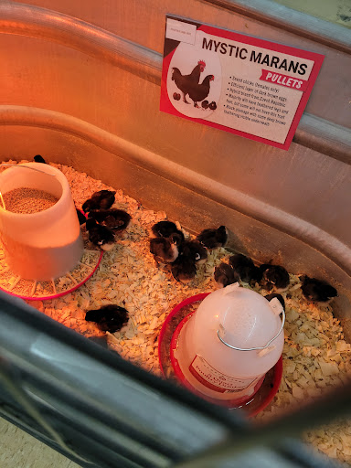 Home Improvement Store «Tractor Supply Co.», reviews and photos, 23735 US-23, Circleville, OH 43113, USA