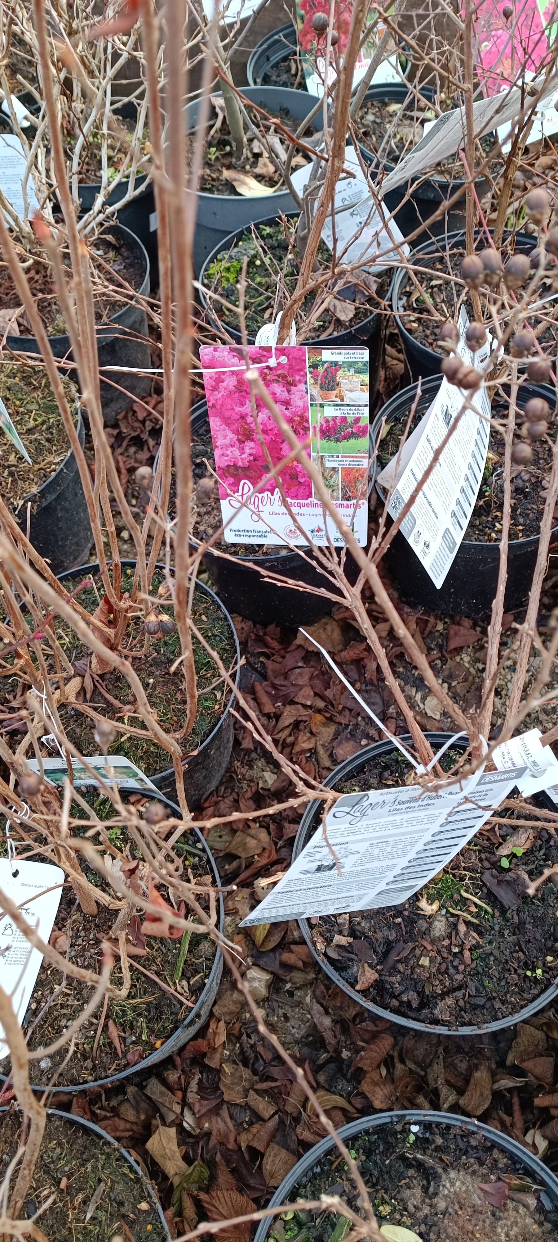 Photo n° 23 de l'avis de Christophe.e fait le 24/02/2023 à 08:48