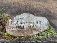 鑓水板木の杜緑地