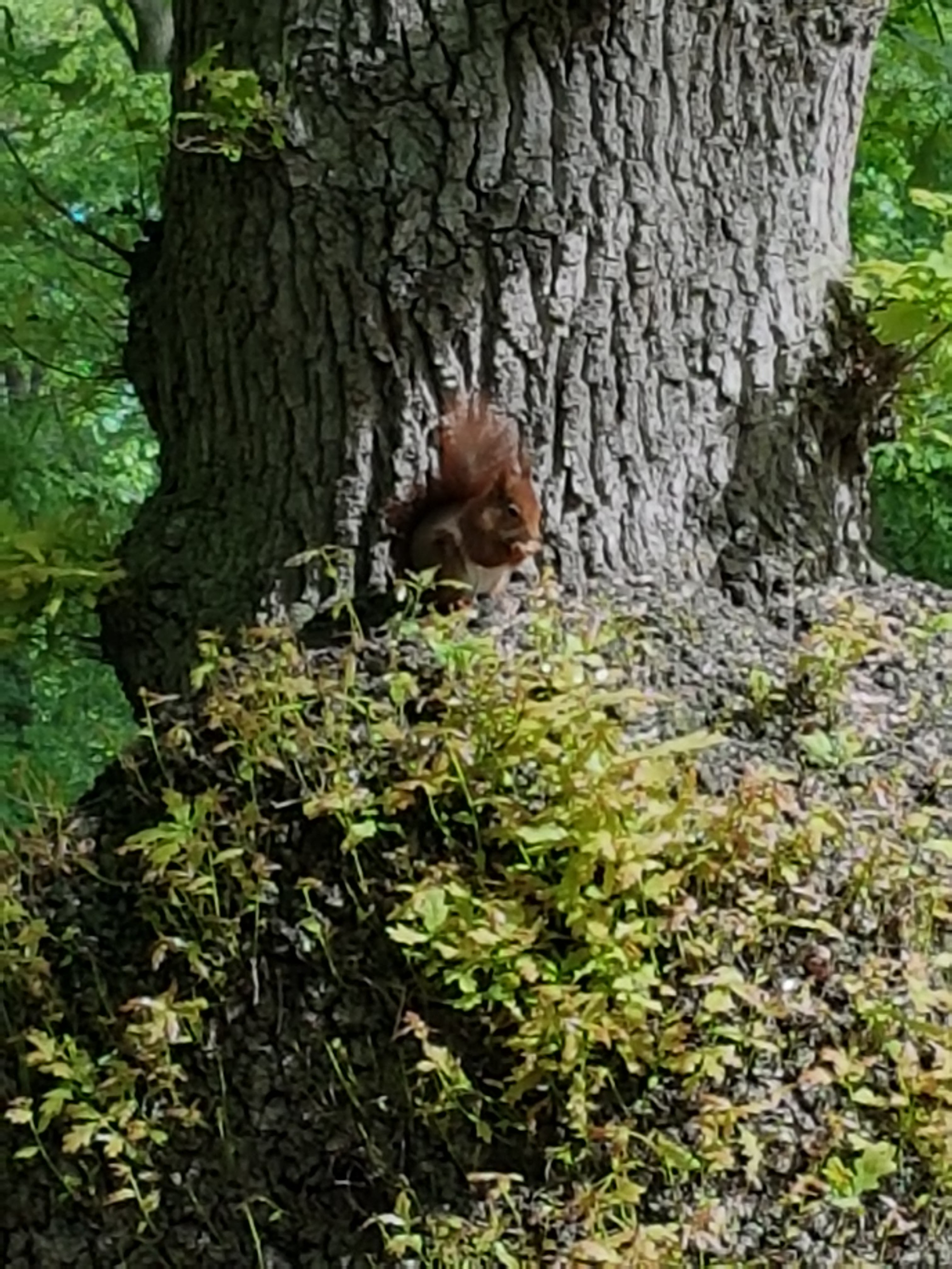 Photo n° 1 de l'avis de Maryse.l fait le 26/08/2019 à 11:46