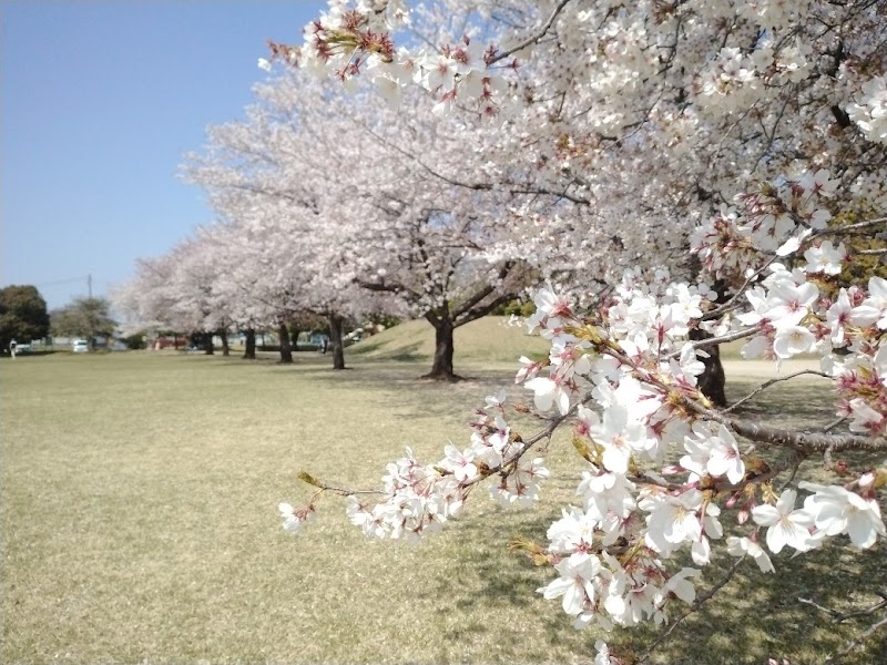 富塚公園