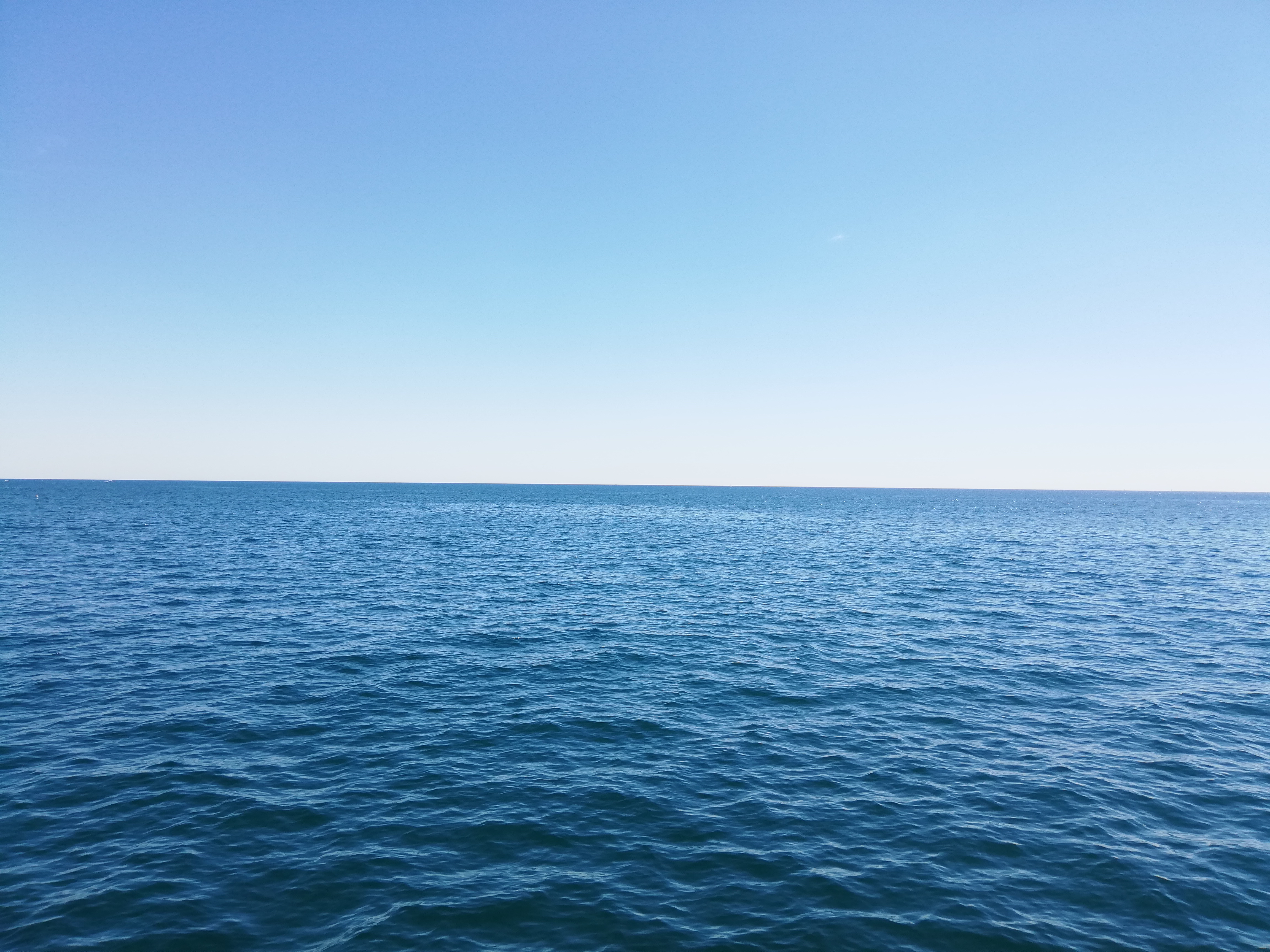Photo n° 16 de l'avis de Schout.a fait le 15/07/2019 à 09:52