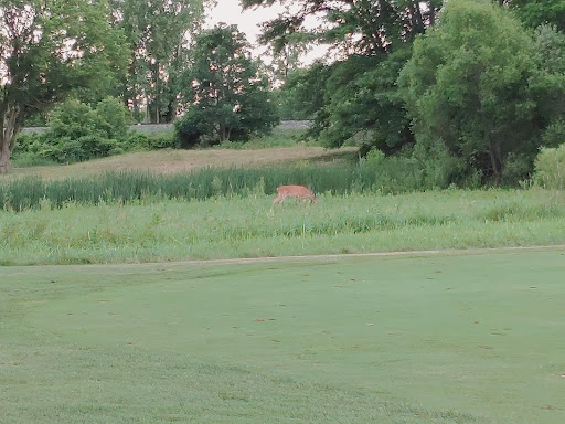 Golf Club «Thornapple Pointe», reviews and photos, 7211 48th St SE, Grand Rapids, MI 49512, USA