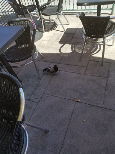 Shopping Mall «Brentwood Place Shopping Center», reviews and photos, 12019 Wilshire Blvd, Los Angeles, CA 90049, USA