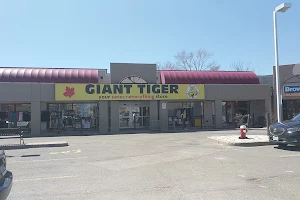 Giant Tiger image