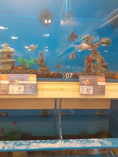 Pet Supply Store «PetSmart», reviews and photos, 916 Loganville Hwy, Bethlehem, GA 30620, USA