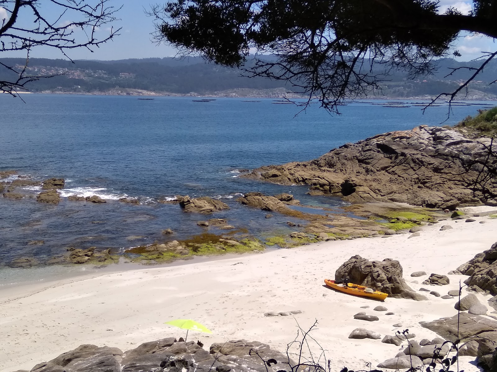 Foto av Praia do Couso beläget i naturområde