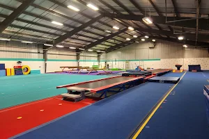 High Flight Gymnastics And Athletic Center image