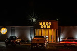 Mega Gym Inc image