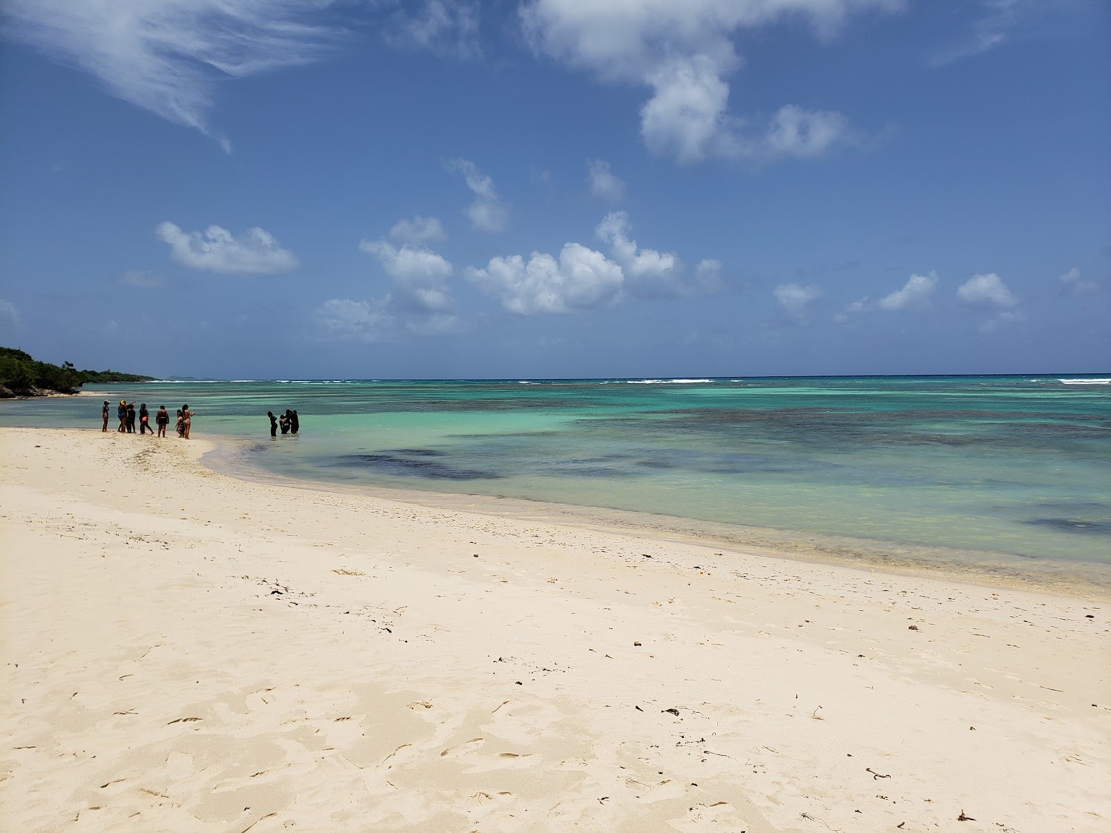 Photo de Anse du Mancenillier Beach - endroit populaire parmi les connaisseurs de la détente