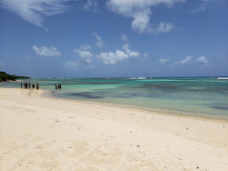 Photo de Anse du Mancenillier Beach - endroit populaire parmi les connaisseurs de la détente