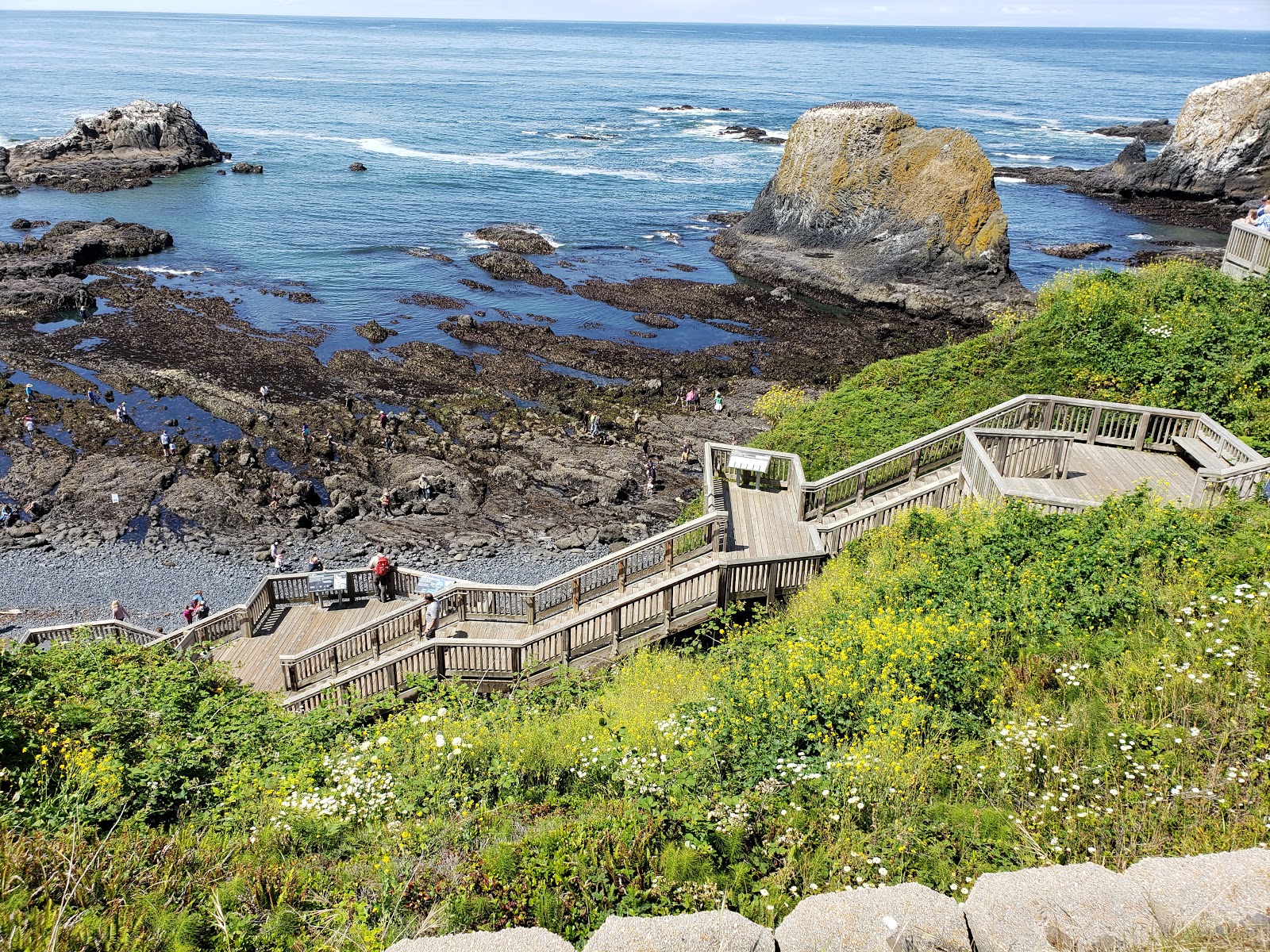 Photo de Cobble Beach avec un niveau de propreté de très propre