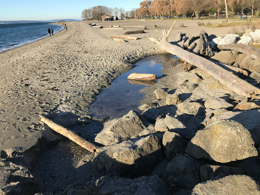 Park «Golden Gardens Park», reviews and photos, 8498 Seaview Pl NW, Seattle, WA 98117, USA