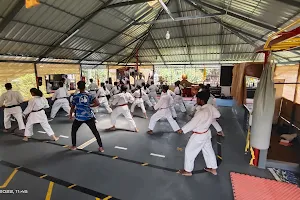School Of Martial Arts image