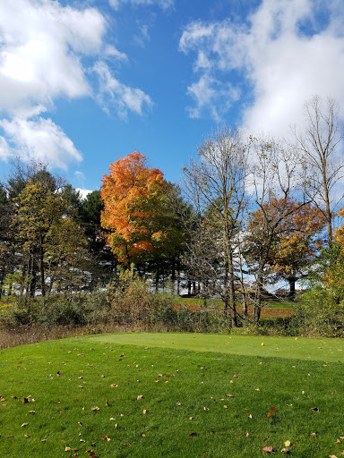 Golf Course «The Emerald Golf Course», reviews and photos, 2300 W Maple Rapids Rd, St Johns, MI 48879, USA