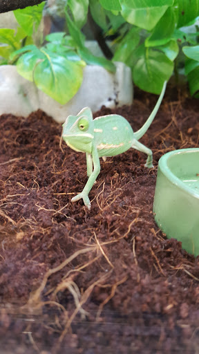 Pet Supply Store «Petco Animal Supplies», reviews and photos, 10055 Wellington Rd, Manassas, VA 20110, USA