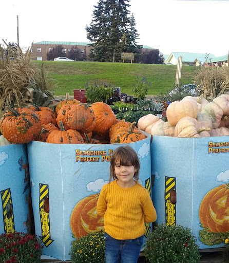 Produce Market «Tacoma Boys», reviews and photos, 5602 6th Ave, Tacoma, WA 98406, USA