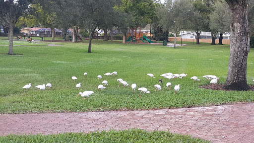 Park «Liberty Tree Park», reviews and photos, 7421 NW 5th St, Plantation, FL 33317, USA