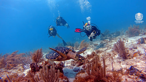 Cthulhu Divers