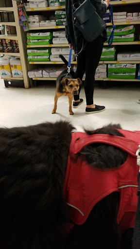 Pet Supply Store «PetSmart», reviews and photos, 3010 Brandywine Pkwy, Wilmington, DE 19803, USA