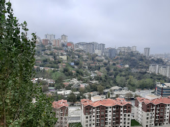 Yıldız Park Modern