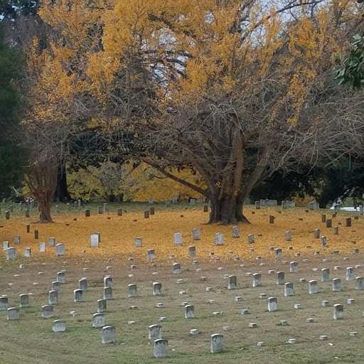 State Park «Vicksburg National Military Park», reviews and photos, 3201 Clay St, Vicksburg, MS 39183, USA