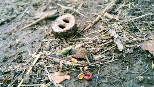 Golf Course «Seneca Golf Course», reviews and photos, 2300 Pee Wee Reese Rd, Louisville, KY 40205, USA