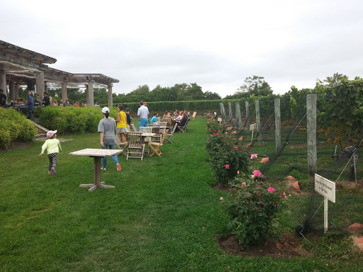 Vineyard «Wölffer Estate Vineyard», reviews and photos, 139 Sagg Rd, Sagaponack, NY 11962, USA