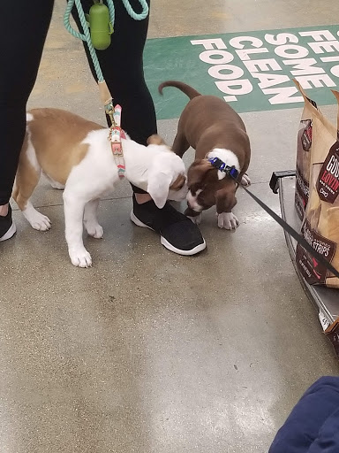 Pet Supply Store «Petco Animal Supplies», reviews and photos, 3870 N 124th St, Wauwatosa, WI 53222, USA