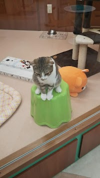【ペット専門店】ユアペティア平塚店