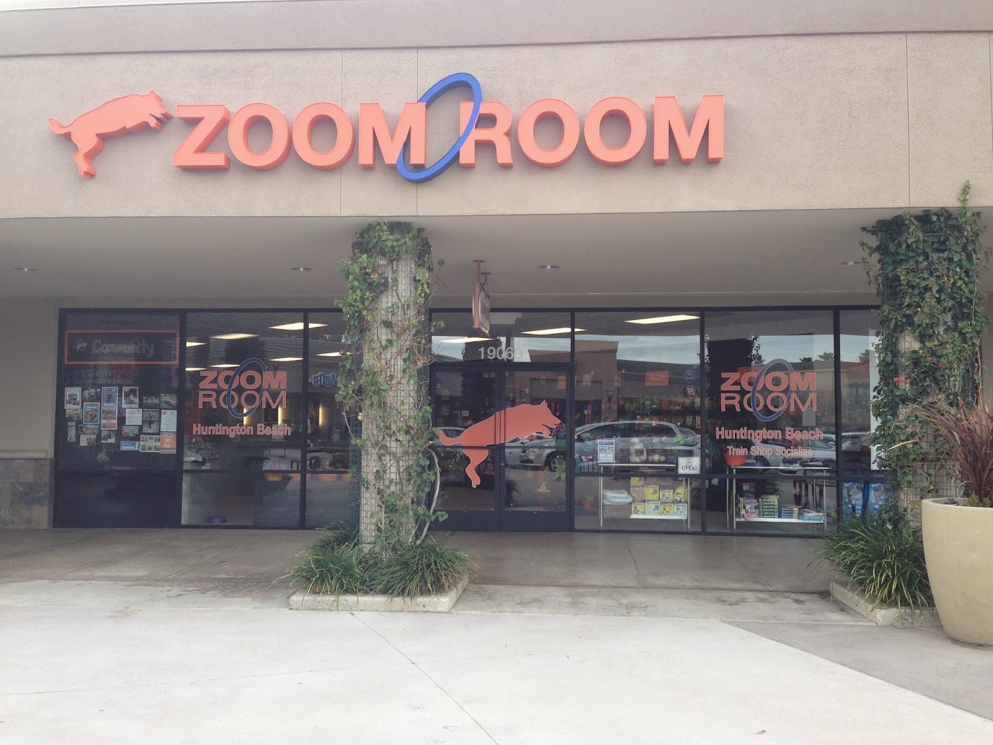 Zoom Room Dog Training