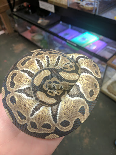 Pet Store «Pet Zone», reviews and photos, 8925 Jewella Ave #4, Shreveport, LA 71118, USA