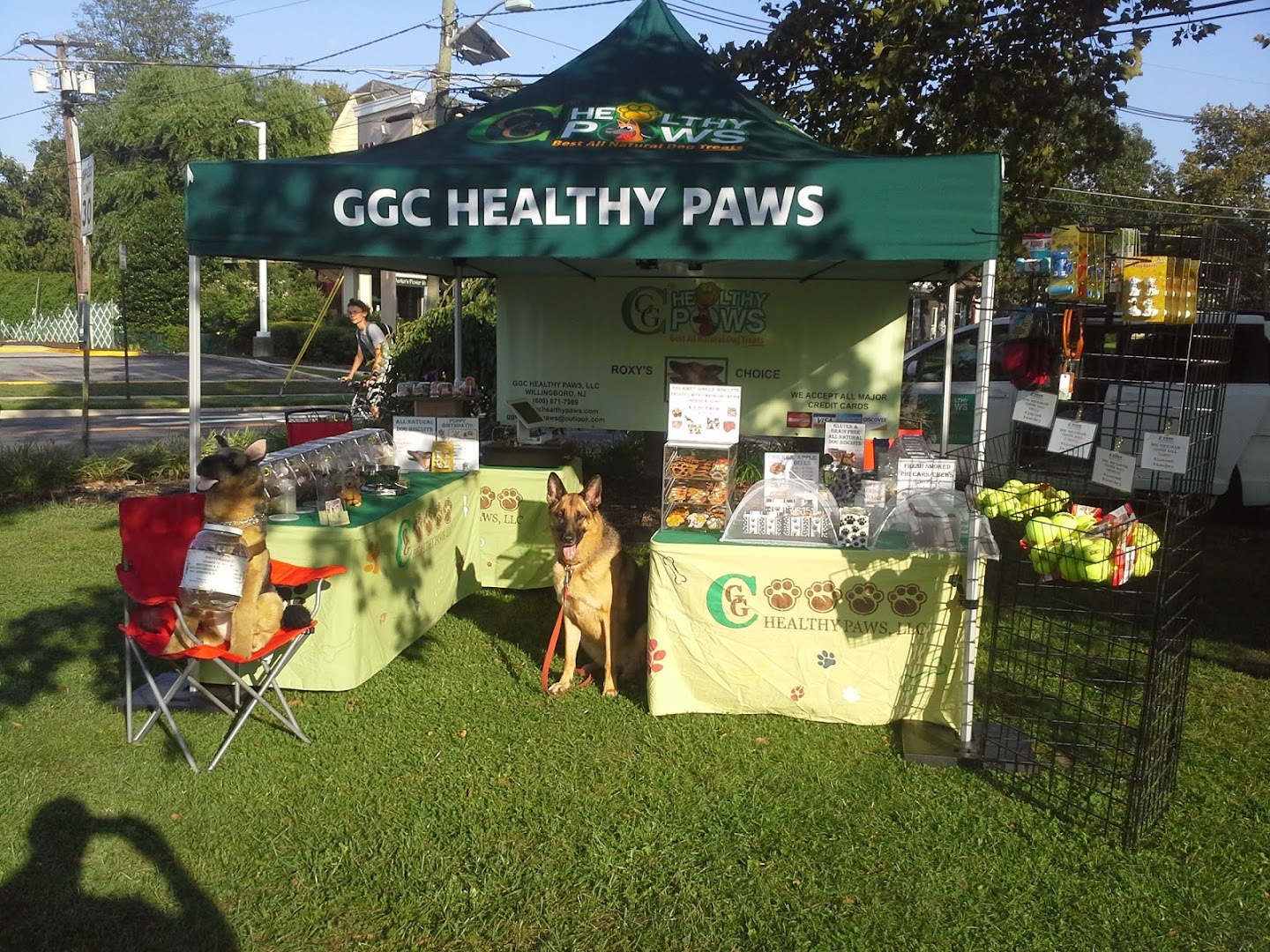 GGC Healthy Paws, LLC Roxy's Choice Best Natural Dog Treats