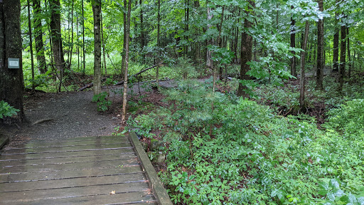 Kirchner Woods
