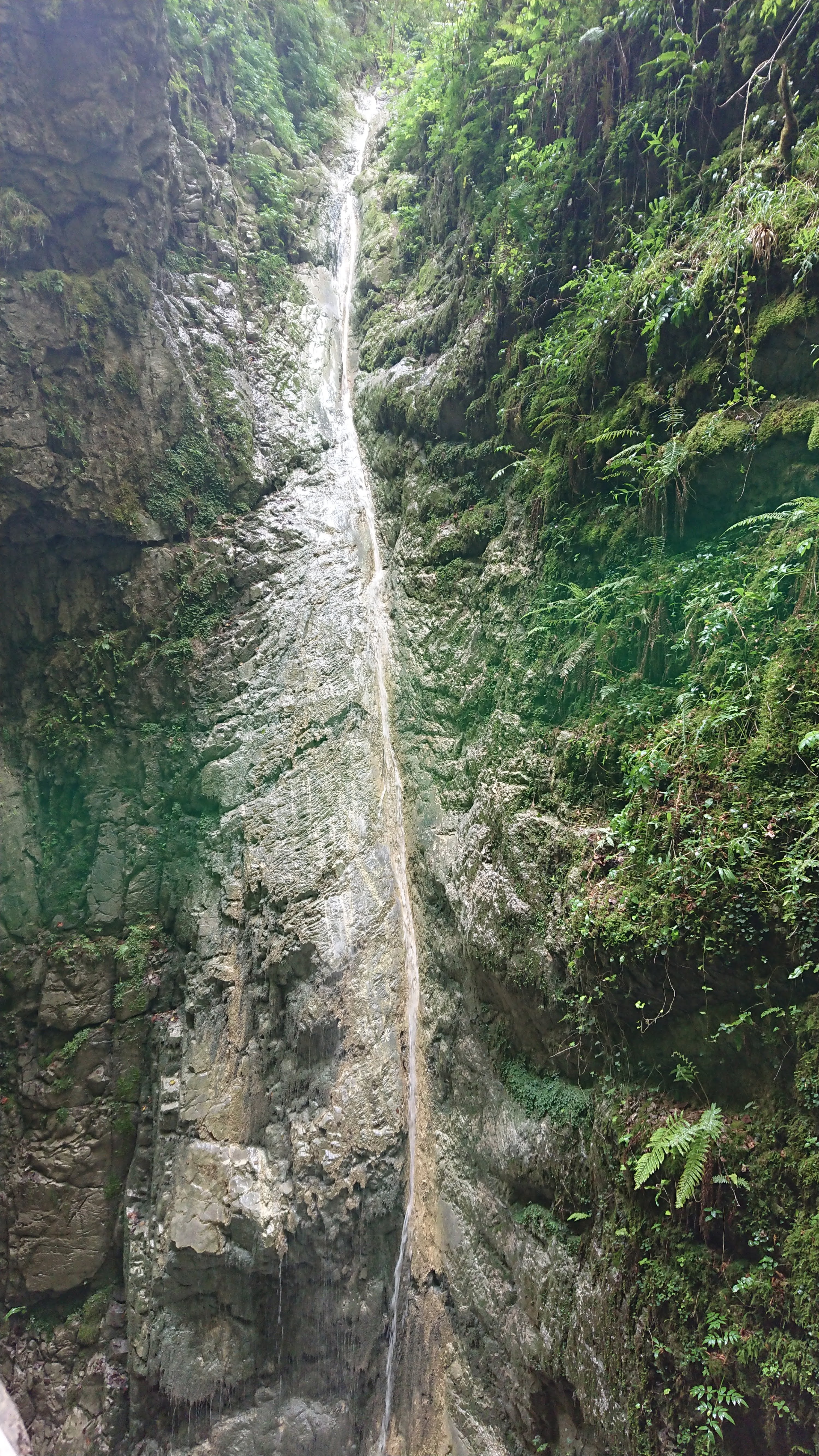 Photo n° 24 de l'avis de ALAIN.O fait le 19/08/2018 à 12:52