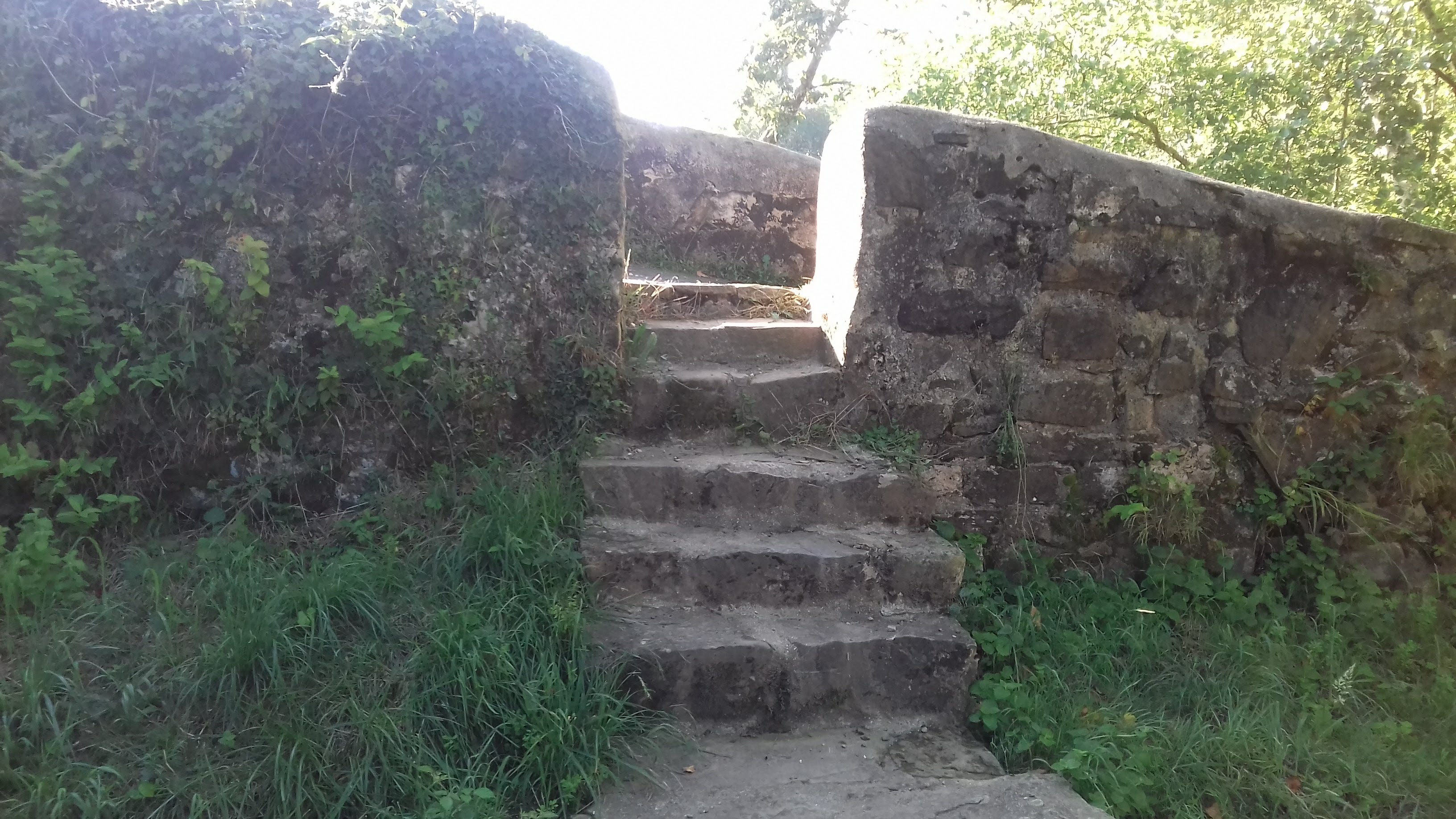 Photo n° 6 de l'avis de Breizh.b fait le 03/08/2019 à 10:30