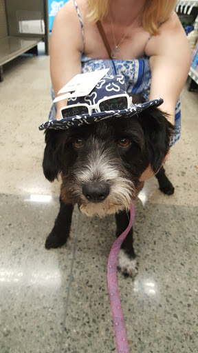 Pet Supply Store «Petco Animal Supplies», reviews and photos, 3495 Sports Arena Blvd, San Diego, CA 92110, USA