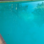 Photo n°2 de l'avis de Anni.o fait le 11/09/2023 à 13:46 sur le  Agriturismo Locanda Della Fortuna à Faenza