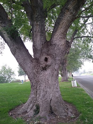 Kiwanis Park - photo 9
