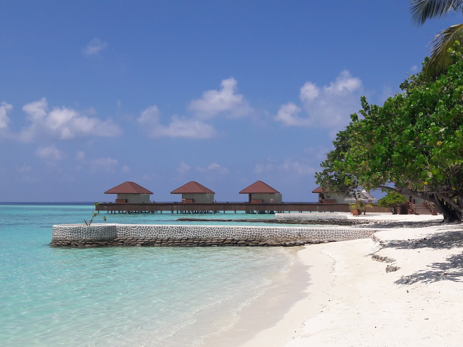 Foto van Maayafushi Island Resort met hoog niveau van netheid