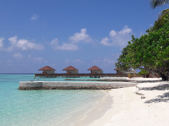 Maayafushi Island Resort