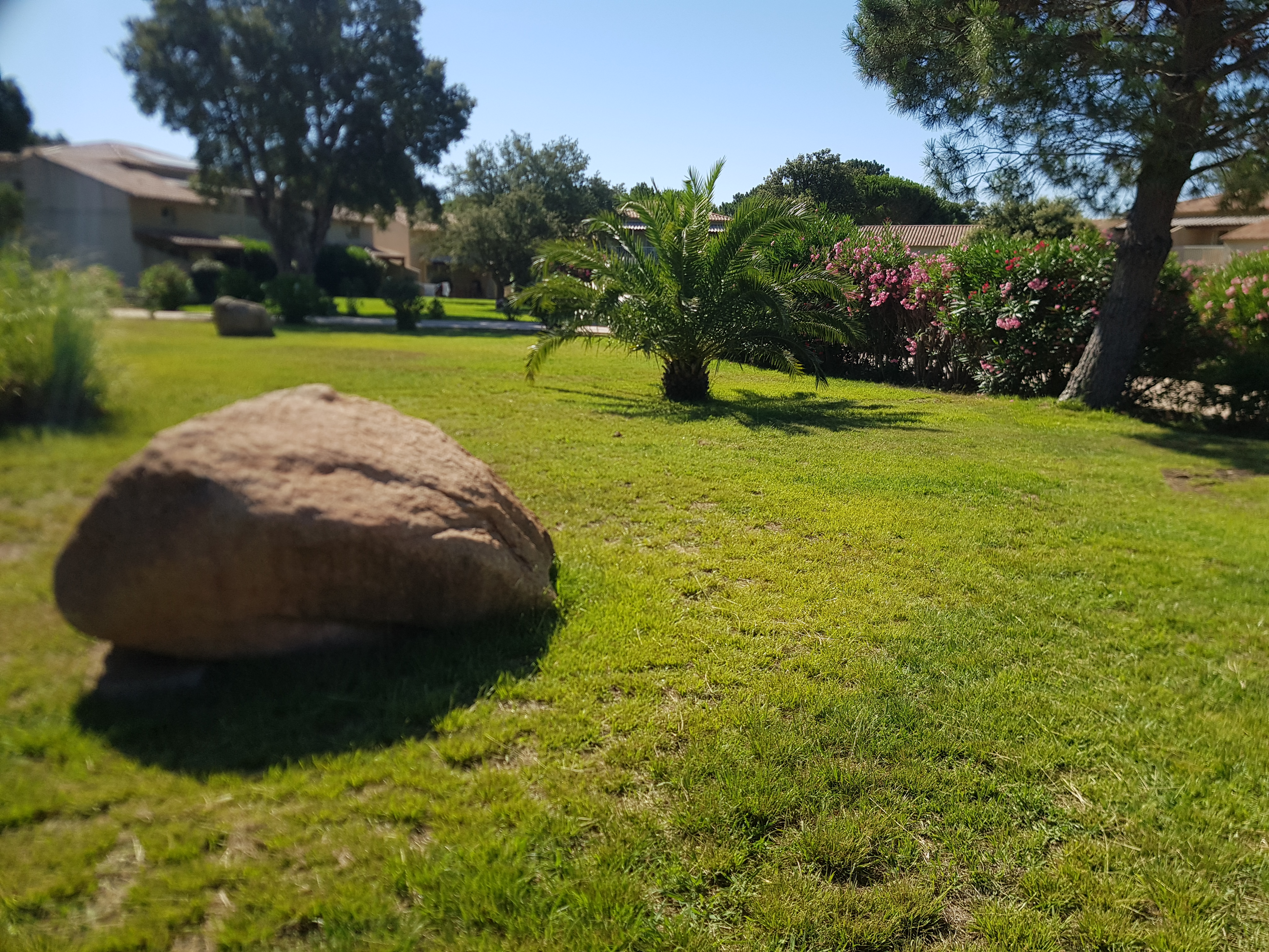 Photo n° 1 de l'avis de Jean.a fait le 10/07/2020 à 10:20