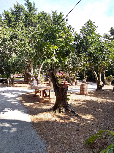 Wedding Venue «The Old Grove», reviews and photos, 16000 SW 248th St, Redland, FL 33031, USA