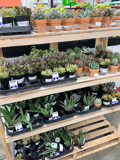 Grocery Store «El Super», reviews and photos, 703 N Zaragoza Rd, El Paso, TX 79907, USA