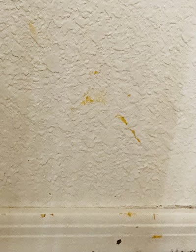 Real Estate Agency «Haymore Real Estate LLC», reviews and photos, 500 E Fry Blvd, Sierra Vista, AZ 85635, USA