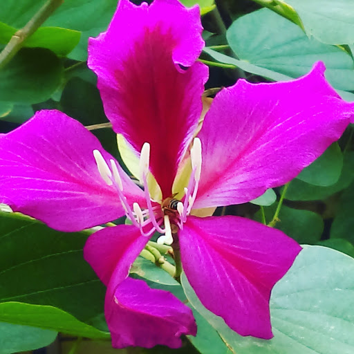 Insurance Agency «USAA», reviews and photos