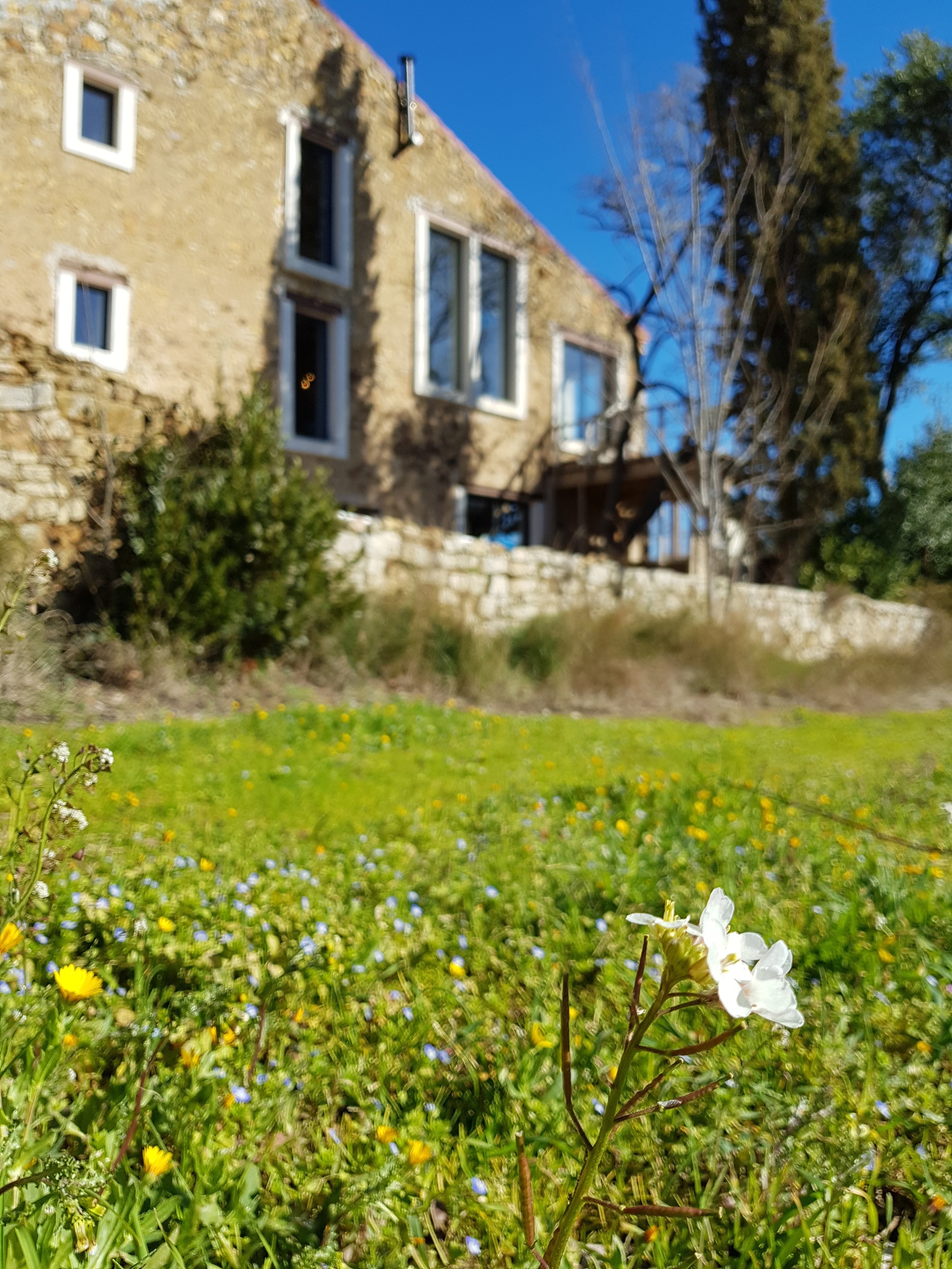 Photo n° 4 de l'avis de Luis.i fait le 21/04/2020 à 14:16