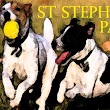 St Stephens Park & Dog Park - Catawba County, NC